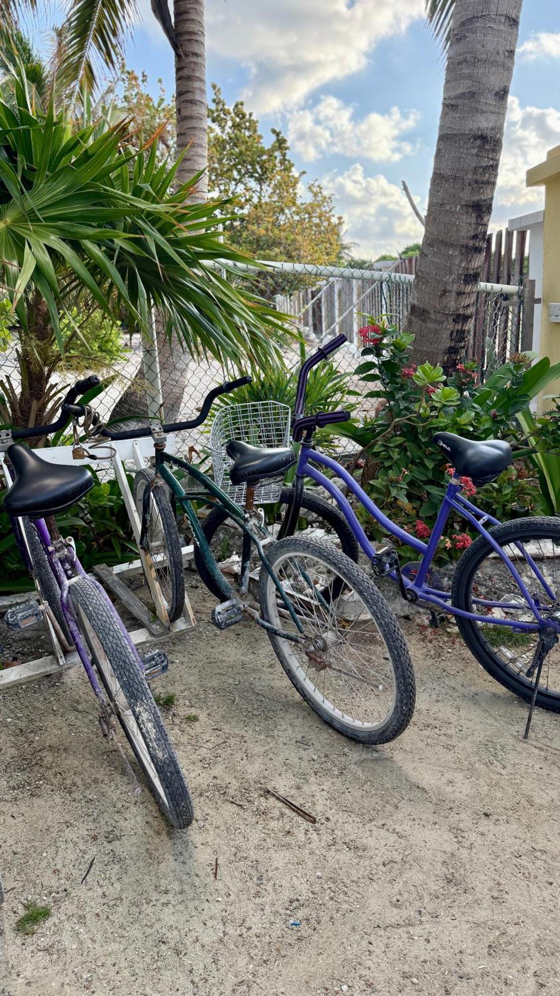 Hotel The Novelo Caye Caulker Zewnętrze zdjęcie